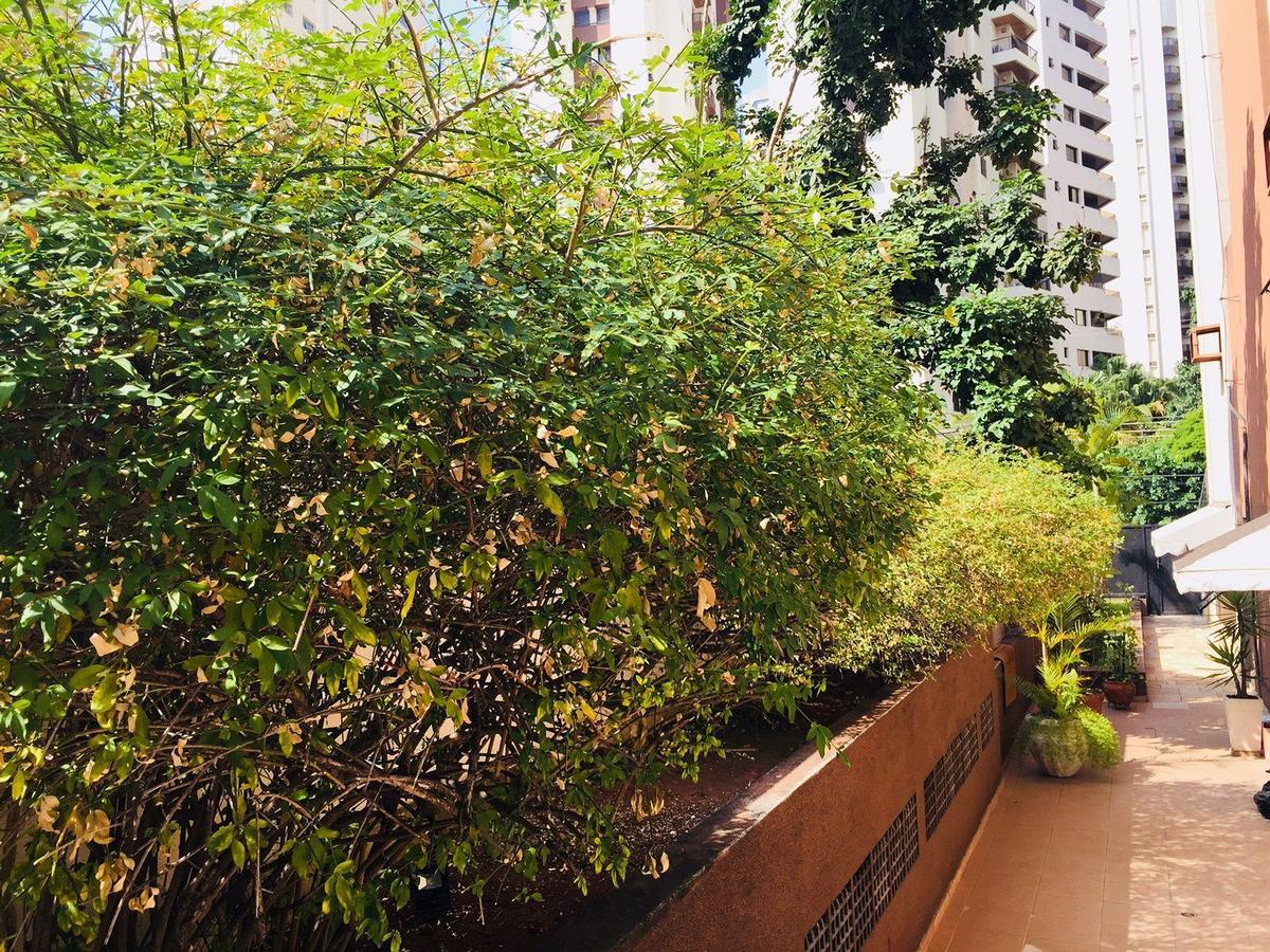 דירות סאו פאולו Duplex Moema Ao Lado Do Parque מראה חיצוני תמונה